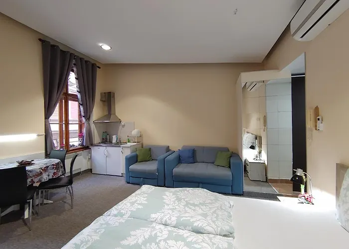 Apartment Danijela-City Centar